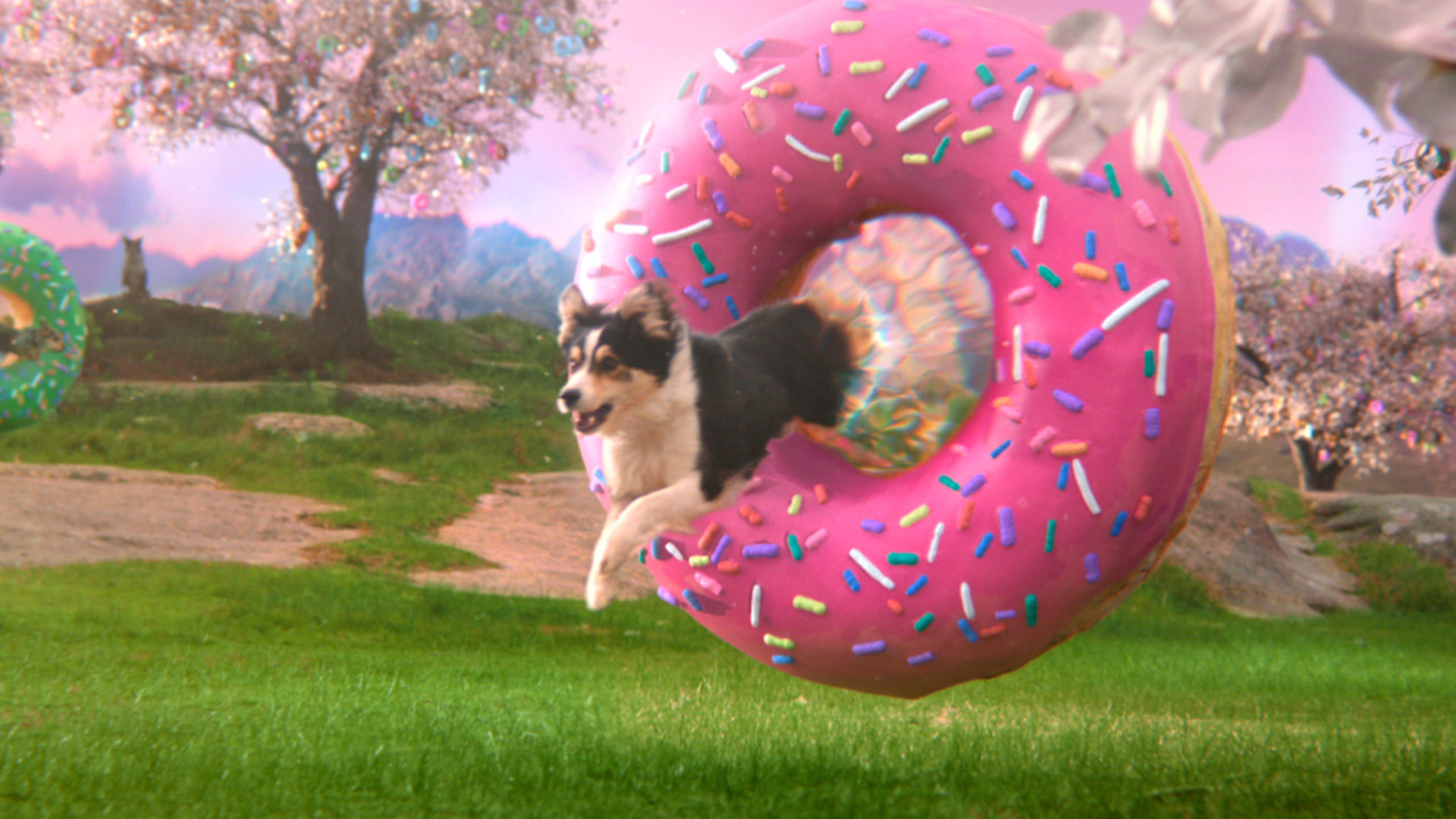 Dog jumping through a donut